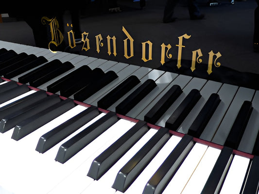 Bosendorfer piano cover