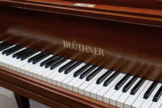 Bluthner Piano Cover