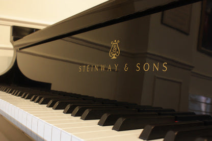 Steinway grand piano cover