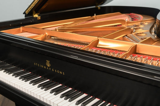 Steinway piano finish protection guide