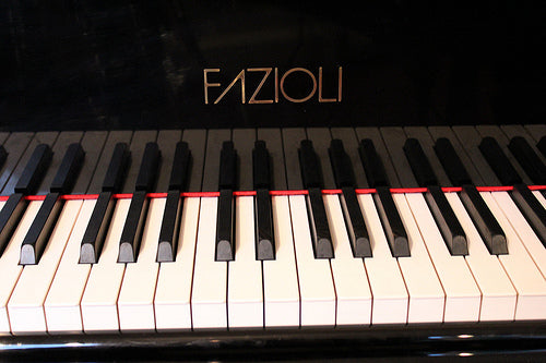 fazioli grand piano cover